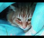 Фотография Бородиной Марии