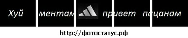 Владислав Лісовський фотография #39 (источник - https://vk.com/id71103328)