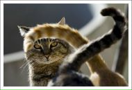 Фотография Кузнецова Михаила