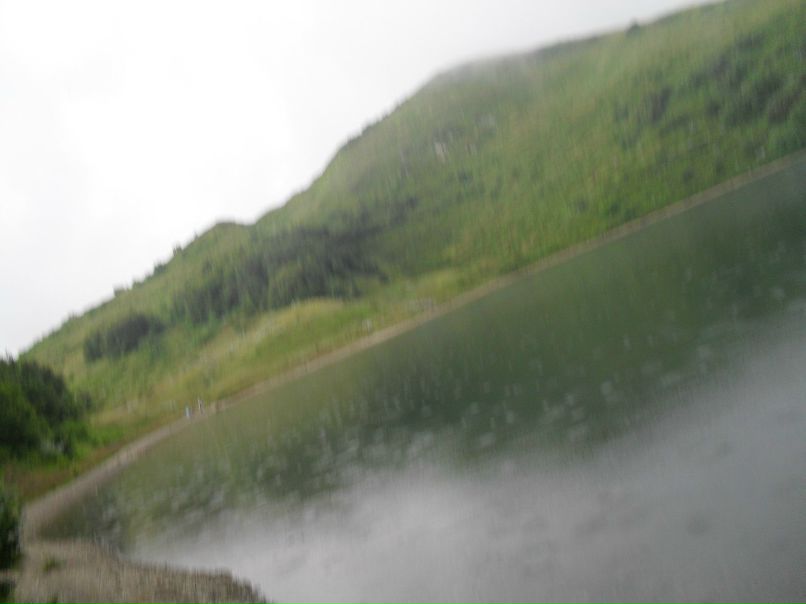 Дарья Торпачёва фотография #43