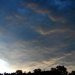  фотография #12