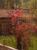 Эстер Ткач фотография #33 (источник - https://vk.com/id2788089)