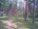Дмитрий Шаров фотография #43 (источник - https://vk.com/id3186760)
