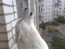Юрій Герасименко фотография #32 (источник - https://vk.com/id29215179)