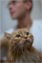 Дмитрий Ермольчик фотография #17 (источник - https://vk.com/id733715)