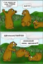 Do-Do Belka фотография #9 (источник - https://vk.com/id32547533)