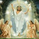 Софія Стасула фотография #43 (источник - https://vk.com/id148255592)