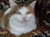 Фотография Салахетдинова Равиля