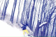 Фотография Городкова Леонида