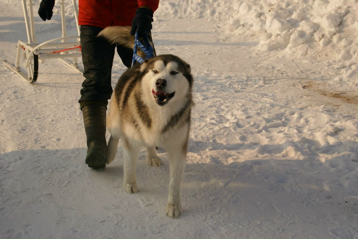 Сергей Вахрамеев фотография #16