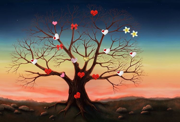 Элис Каленн фотография #17