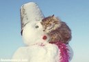 Майя Ларіна фотография #12 (источник - https://vk.com/id157767547)