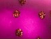 Андрій Калявський фотография #30 (источник - https://vk.com/id135350226)