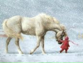 Фотография Черенковой Евгении