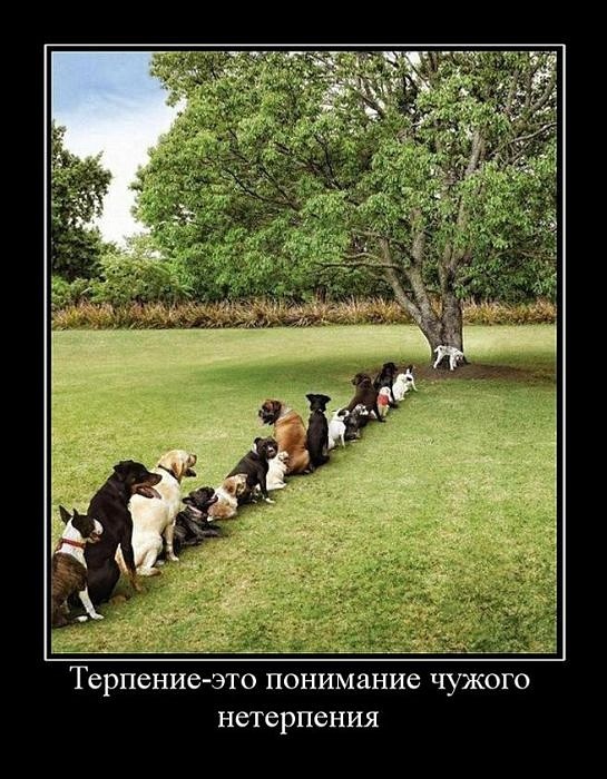 Владислав Мокрий фотография #38