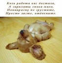 Сергій Гамулінський фотография #4 (источник - https://vk.com/id151644769)
