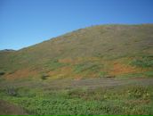 Jackie Chan фотография #41 (источник - https://vk.com/id6684483)