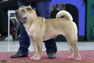 Фотография Сапрыкиной Елены