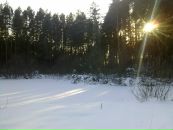 Фотография Ботвиник Юлианы