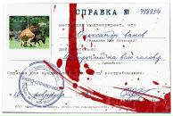 Саша Іванов фотография #49 (источник - https://vk.com/id35868405)