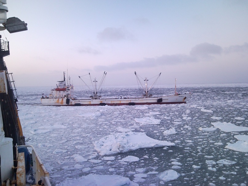 Дмитрий Онискевич фотография #30