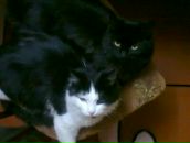 Фотография Латыповой Чулпан