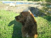 Андрій Сороковський фотография #14 (источник - https://vk.com/id35145374)