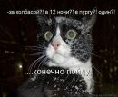 Вася Білоус фотография #37 (источник - https://vk.com/id134298219)