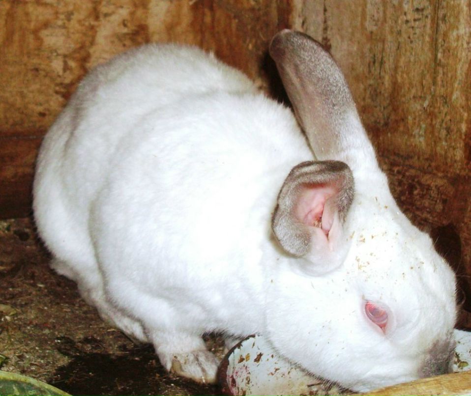 Алина Стом фотография #22