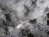 Сергей Воропаев фотография #23 (источник - https://vk.com/id4393349)