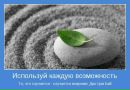Антон Николаев фотография #39 (источник - https://vk.com/id13889648)