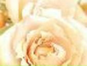 Іра Федорович фотография #37 (источник - https://vk.com/id147507521)