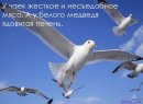 Діма Остапишин фотография #30 (источник - https://vk.com/id26627804)