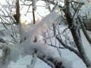 Дашулька Мімозка фотография #9 (источник - https://vk.com/id6637271)