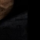 Алексей Антоненко фотография #25 (источник - https://vk.com/id11280778)