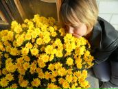 Фотография Вавиловой Ирины