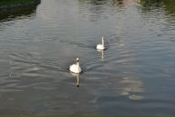 Juliette St фотография #3 (источник - https://vk.com/id32418344)