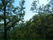 Віктор Копінський фотография #24 (источник - https://vk.com/id10115601)