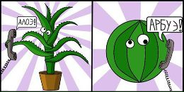 Фотография Юсупова Наиля