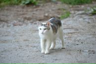 Константин Басалаев фотография #29 (источник - https://vk.com/id257097)