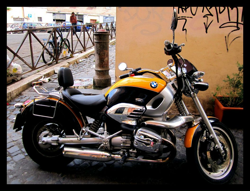 Яблоко Зеленое фотография #47