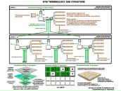 Дмитрий Сухоручкин фотография #15 (источник - https://vk.com/id29856482)