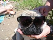 Фотография Родина Кирилла