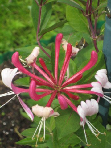  фото №37