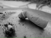 Івася Рудакевич фотография #18 (источник - https://vk.com/id14581329)