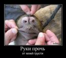 Фотография Радкевича Александра
