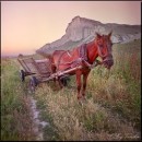 Love :) фотография #14 (источник - https://vk.com/id81002463)