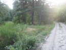 Юрік Переломов фотография #41 (источник - https://vk.com/id28302826)