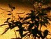 Андрій Лилик фотография #27 (источник - https://vk.com/id33940694)