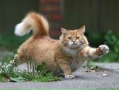 Фотография Александровой Татьяны